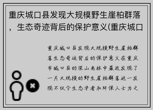 重庆城口县发现大规模野生崖柏群落，生态奇迹背后的保护意义(重庆城口崖柏介绍)
