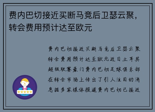 费内巴切接近买断马竞后卫瑟云聚，转会费用预计达至欧元