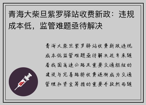 青海大柴旦紫罗驿站收费新政：违规成本低，监管难题亟待解决